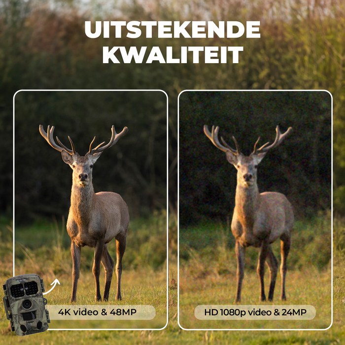 Denver Wildcamera met Nachtzicht en WiFi - 4K Ultra HD - 48MP - WiFi - TrailCam GO app - LCD Scherm - Waterdicht - WCT8026