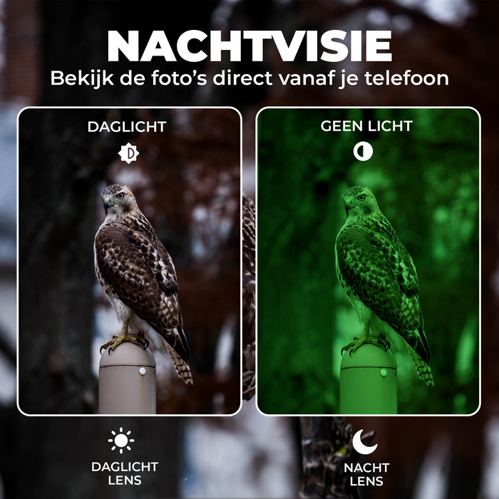 Denver Wildcamera met Nachtzicht en WiFi - 4K Ultra HD - 48MP - WiFi - TrailCam GO app - LCD Scherm - Waterdicht - WCT8026