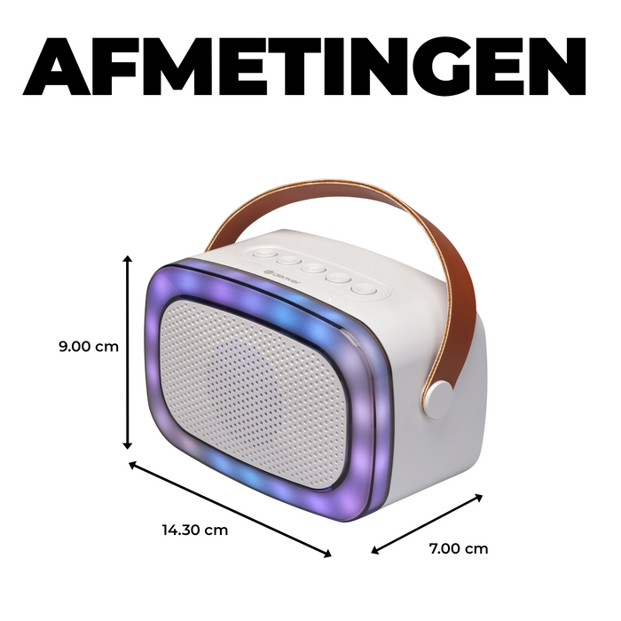 Denver Karaoke Set Kinderen & Volwassenen - Discolichten - Bluetooth - Incl. Microfoon - Speaker Party Box - Partybox - BTM610
