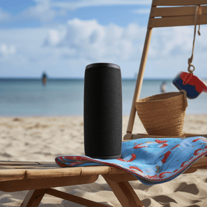 Denver bluetooth speaker mini · AUX en draadloos