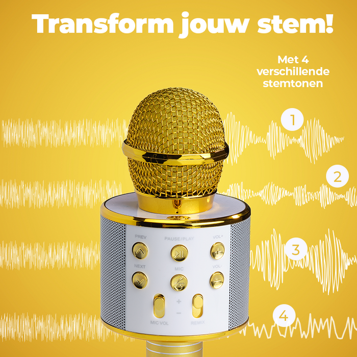 Denver Karaoke Microfoon Bluetooth - Draadloos - Karaoke Set - Ingebouwde Speaker - AUX - MicroSD - KMS20