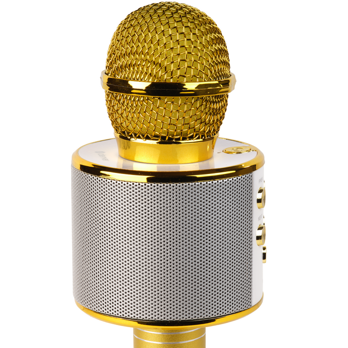 Denver Karaoke Microfoon Bluetooth - Draadloos - Karaoke Set - Ingebouwde Speaker - AUX - MicroSD - KMS20