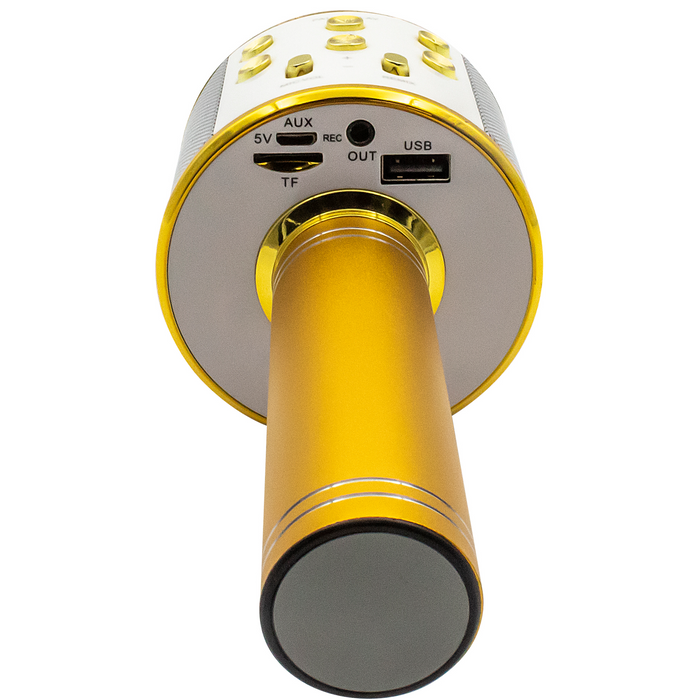 Denver Karaoke Microfoon Bluetooth - Draadloos - Karaoke Set - Ingebouwde Speaker - AUX - MicroSD - KMS20