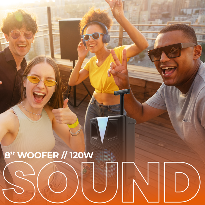 Denver Bluetooth Partyspeaker - Karaokemicrofoon - LED Discolamp - Trolley - TSP307