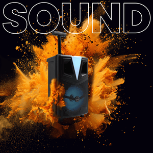 Denver partyspeaker met trolley · karaokemicrofoon en discolamp