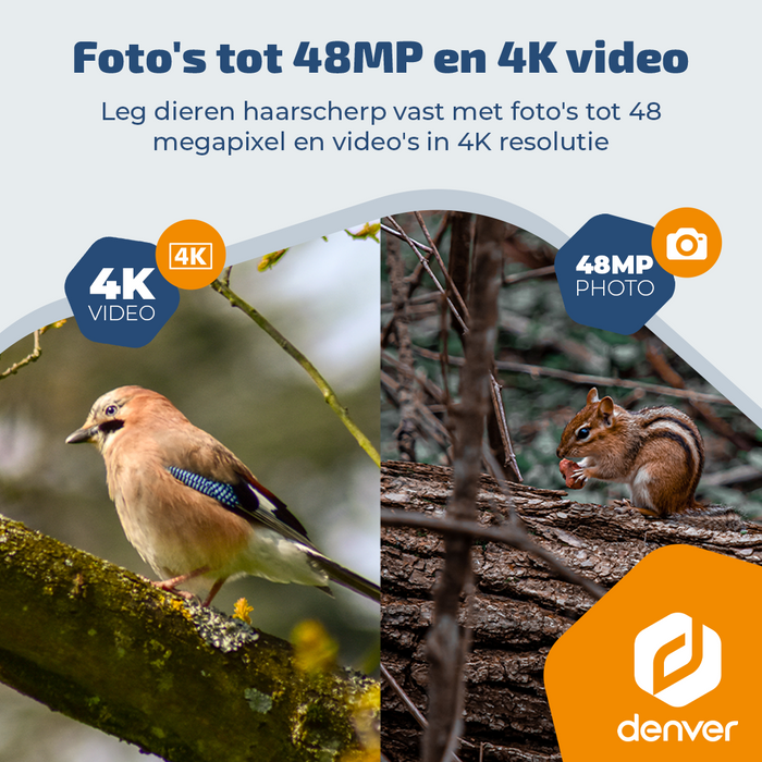 Denver Wildcamera met Nachtzicht en 4G verbinding - Live streaming - 4K Ultra HD video - 48MP Foto – 120 graden zicht - IP66 waterbestending - TrailCam Go app – WCL8060