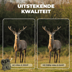 Denver Wildcamera met Nachtzicht - 4K Ultra HD - 50MP - LCD Scherm - Waterdicht - WCS5023 - Denvershop