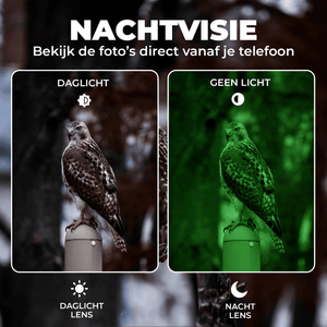 Denver Wildcamera met Nachtzicht en WiFi - 4K Ultra HD - 48MP - WiFi - TrailCam GO app - LCD Scherm - Waterdicht - WCT8026 - Denvershop