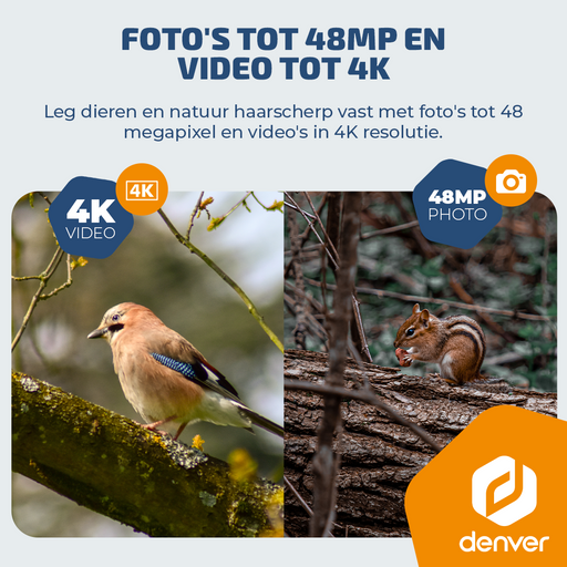 Denver Wildcamera met Nachtzicht en 4G verbinding - Live streaming - 4K Ultra HD video - 48MP - Zonne-energie - TrailCam Go app - WSL8050